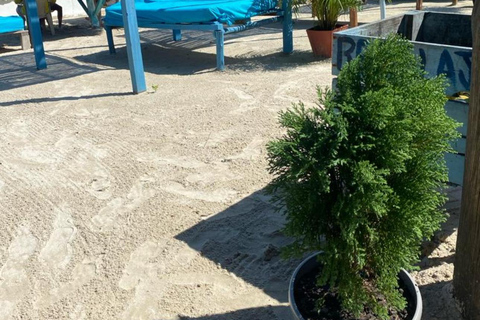 Carthagène, plage de Tierra Bomba et déjeunerCartagena, plage de Tierra Bomba et déjeuner