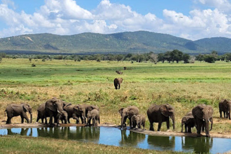 Mombasa: 3-tägige Safari im Tsavo Ost- und West-Nationalpark