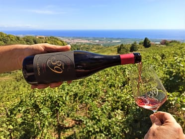 Mt. Etna: Winery Visit with Sea View, Chauffeur and Optional Wine Tasting