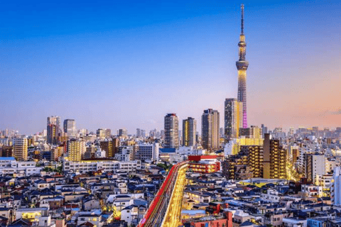 Tour particular em Tóquio de carro ou van com motorista inglês