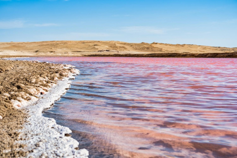 From Paracas: Private Tour to Laguna Rosada, Red Beach and La Catedral Option with direct arrival at the meeting point