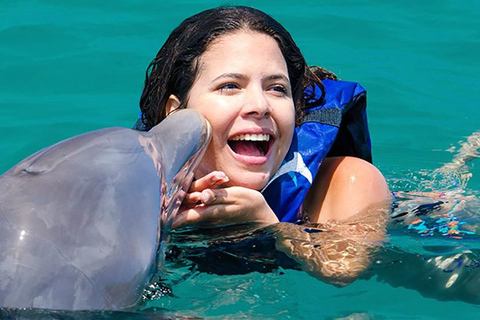 Aventure de nage avec les dauphins à Punta Cana : 40 minutes d&#039;expérience avec les dauphins