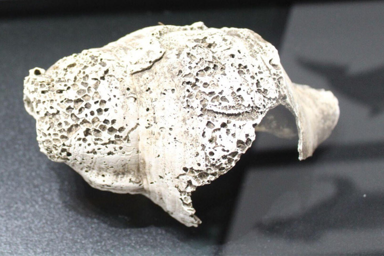 S. Teresa Gallura: Lu Brandali & Longosardo Tower ticket