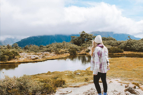 Fiordland: Caminhada guiada de um dia pela trilha Routeburn e Key SummitFiordland: Caminhada guiada de um dia pela trilha Routeburn e pelo Key Summit