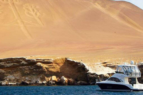 From Ica: Ballestas Islands and Paracas National Reserve …