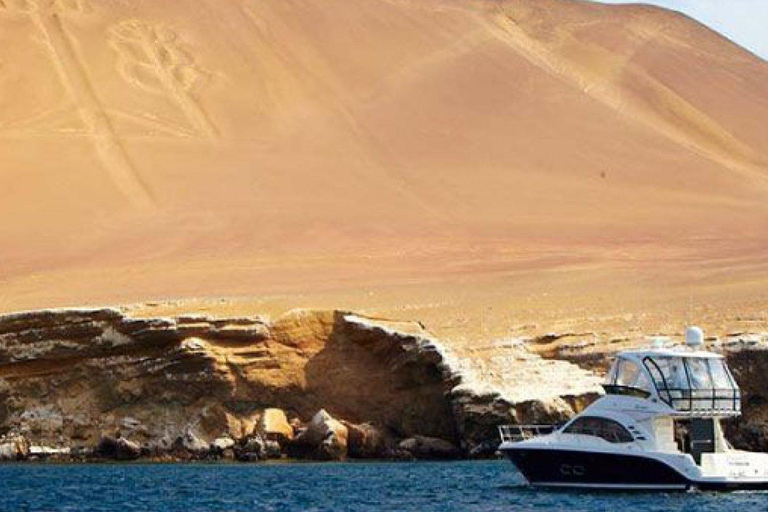 Depuis Ica : les îles Ballestas et la réserve nationale de Paracas ...