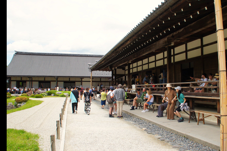 Kyoto: Arashiyama Bamboo, Monkeys, Matcha &amp; UNESCO TempleKyoto: Arashiyama Bamboo, apor, matcha och UNESCO-tempel