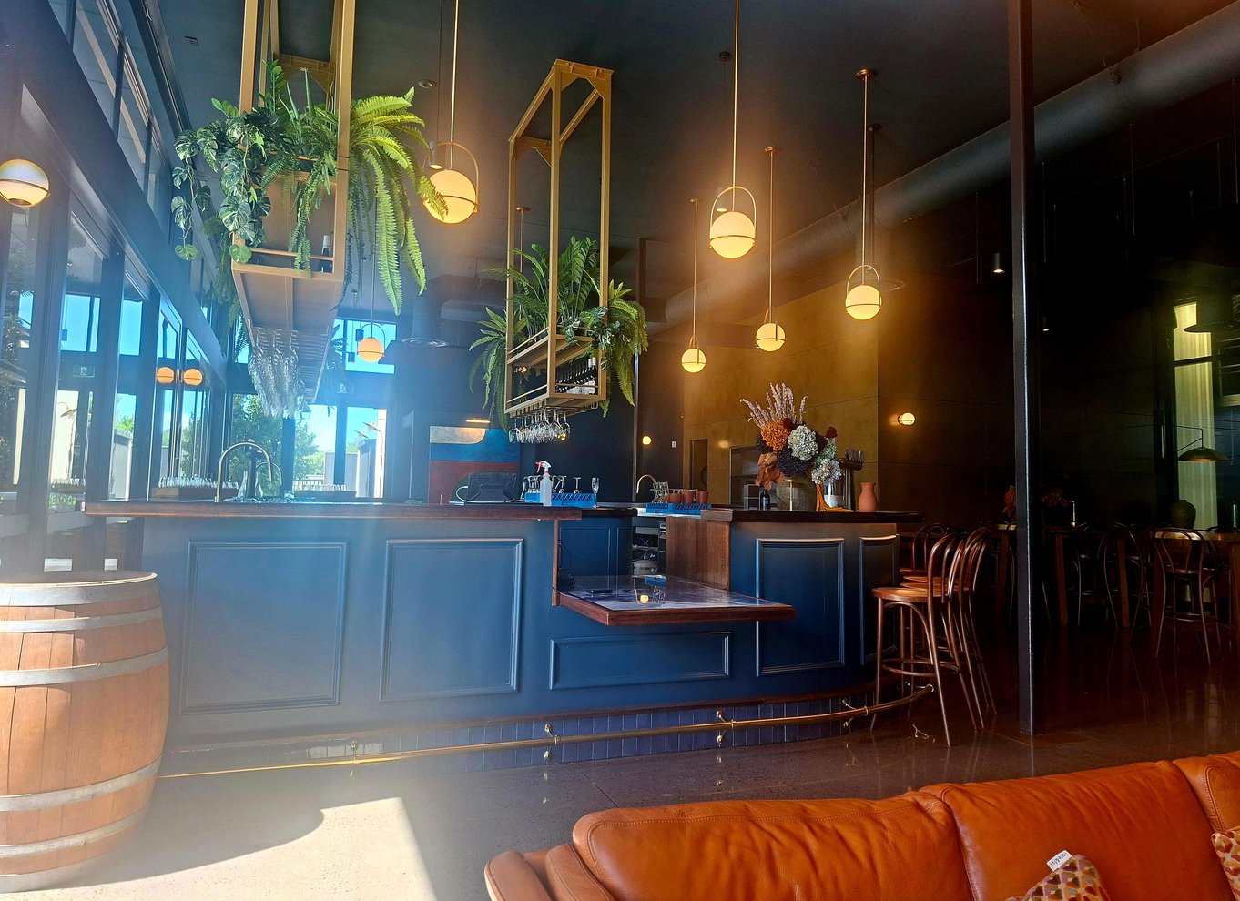 Napier: 3 fantastiske vingårde, gourmetfrokost og smagsprøver