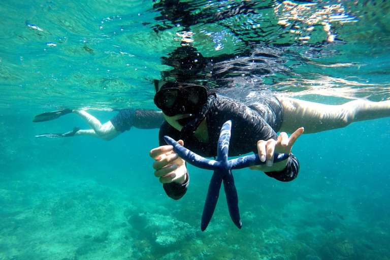 Lombok: Gili Nanggu, Sudak i Kedis - prywatna wycieczka snorkelingowaPrywatna wycieczka Snorkeling Tour (z miejscem zbiórki)