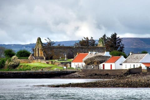 Kilrush: Scattery Island Guided Walking Tour - Image 2