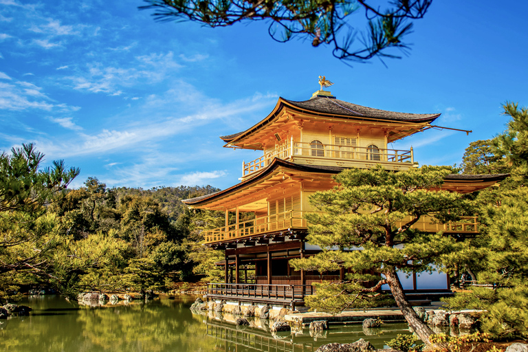 1 Día Osaka-Kyoto-Nara: Explora la Resplandeciente Cultura Japonesa