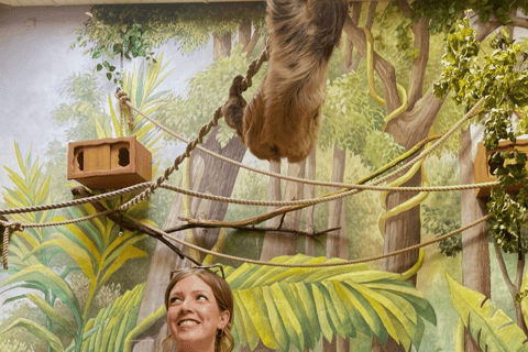 Bilet jednodniowy do zoo w Schwerinie