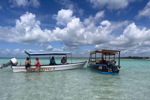 Zanzibar: Mnemba Island, Jozani forest & The Rock restaurant Private tour no Hotel pick up and drop-off included