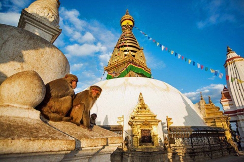 Kathmandu : 7 UNESCO Welterbestätten Tour mit MittagessenKathmandu: Private 4 UNESCO Heritage Sightseeing Tour ,Mittagessen