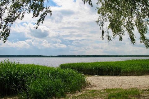 From Tallinn: Wild Swimming Trip with 4 Natural Waters