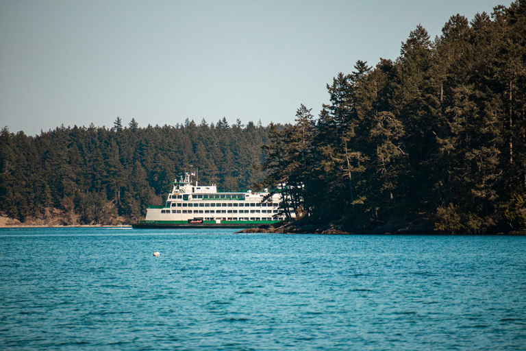 San Juan Island: 3-h Griffin Bay Tour