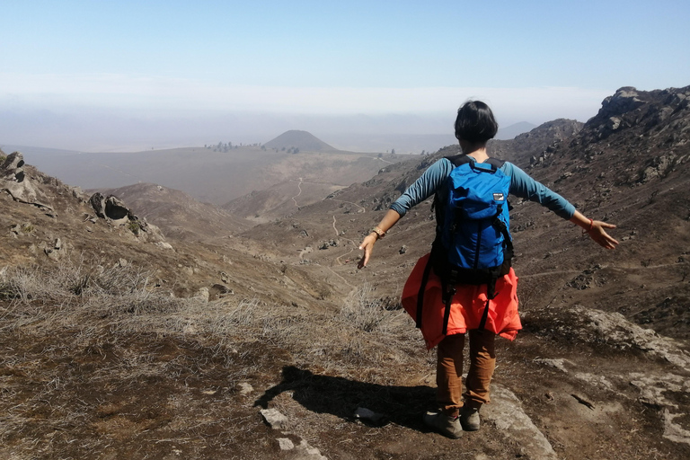 Vandring i Lomas de Lachay i Lima