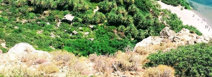 Depuis la Crète : excursion aux gorges de Kourtaliotiko et à Preveli