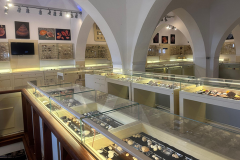 7 days Turkish Mediterranean and Eagean Sea Coastal Tour Private tour option