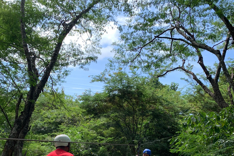 Tamarindo: Tirolina en la selva costarricenseTirolina en la selva costarricense