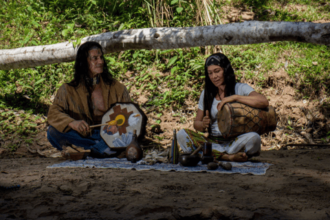 Tarapoto : Cérémonies d&#039;Ayahuasca dans la forêt amazonienne