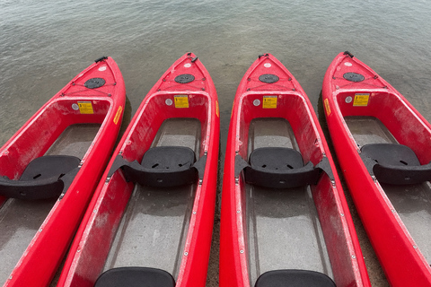 Florida: Indian River Daytime Manatee and Dolphin Kayak Tour Clear Bottom Kayak Day Tour