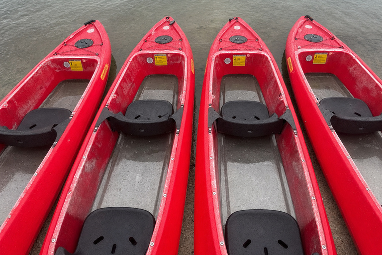 Florida: Indian River Daytime Manatee and Dolphin Kayak Tour Clear Bottom Kayak Day Tour