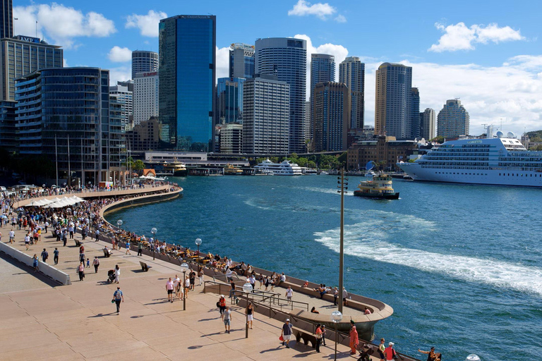 Sydney: Bondi Beach, Ópera y Visita Privada a la Ciudad de Sídney