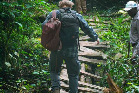 Lago Bunyonyi: 5 giorni nella natura in canoaLago Bunyonyi: 5 giorni nella natura con canoa