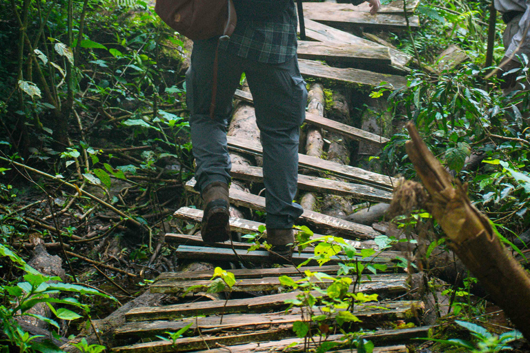 Lago Bunyonyi: 5 giorni nella natura in canoaLago Bunyonyi: 5 giorni nella natura con canoa