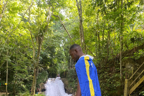 Bob Marley, Blue Hole, Secret Falls and Luminous Lagoon Tour From Montego Bay/ Falmouth/ Trelawny