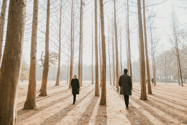 Från Seoul: Dagstur till Nami Island, Koreanska trädgården och Rail Bike