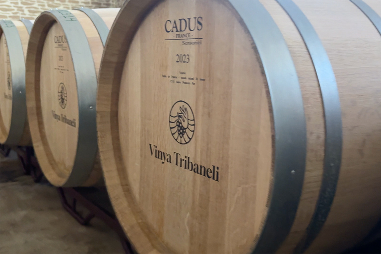 Algaida: Vinya Tribaneli: Wine Making and Tasting Experience