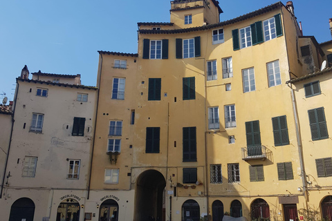 BASIC Lucca: visita guidata in ITALIANO