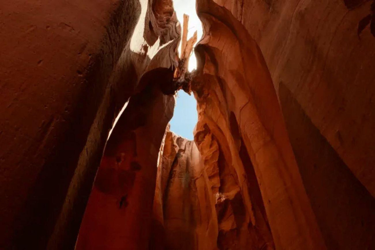 Vallée d&#039;Antelope : Randonnée dans le canyon de Ligai Si Anii