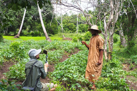 Zanzibar: Wycieczka po wiejskiej farmie z degustacją przyprawZanzibar: Wycieczka po farmie Village Green z degustacją przypraw