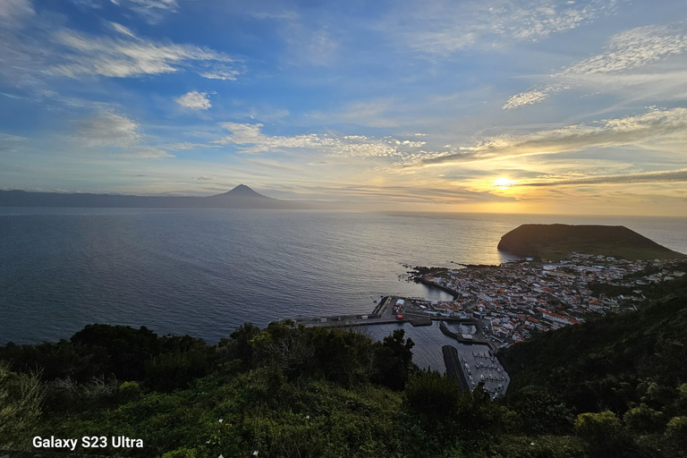 São Jorge : Aller-retour sur l'île jusqu'à 4 heures.Île de São Jorge : Aller-retour 4 heures.