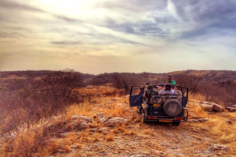 Jaipur: Ranthambore Private geführte Tour mit Taxi