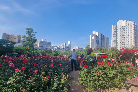 Busan: Private Tour with Stone Buddha, Garden, UN Cemetery