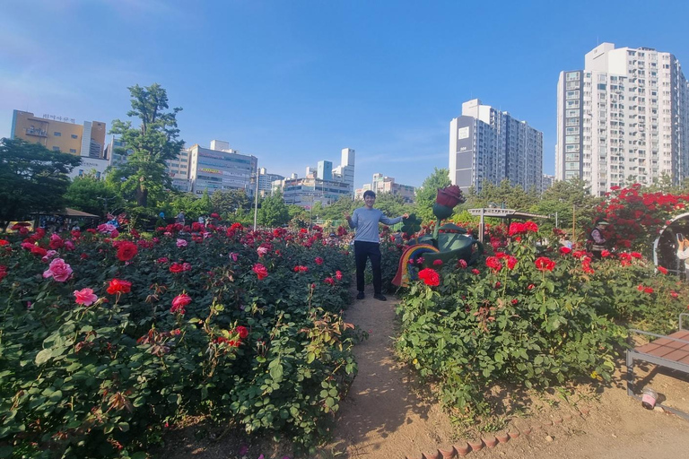 Busan: Private Tour with Stone Buddha, Garden, UN Cemetery