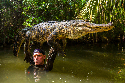 Miami : Les Everglades sauvages : balade en canot pneumatique et rencontre avec des alligators