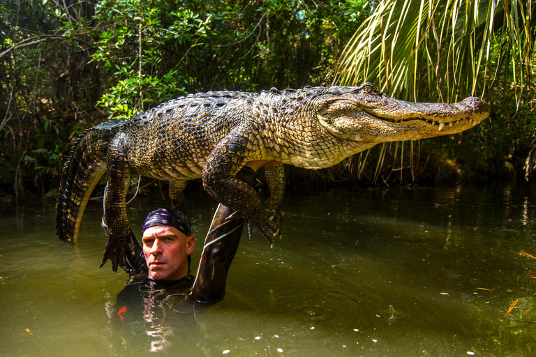 Miami: Giro in motoscafo nelle Everglades selvagge e incontro con gli alligatori