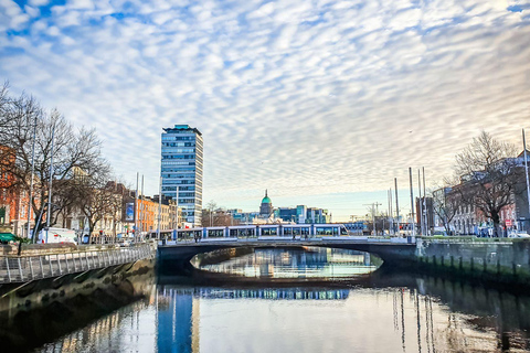 Best of Dublin: Private Walking Tour with a Local Private City Walking Tour - 6Hr