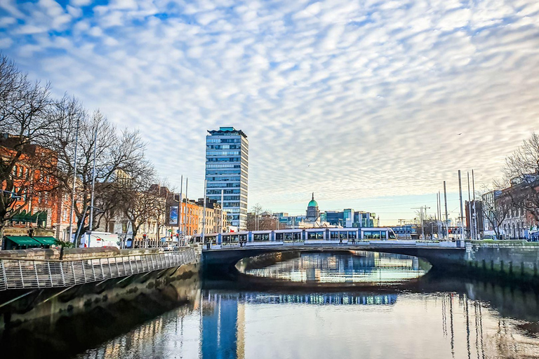 Best of Dublin: Private Walking Tour with a Local Private City Walking Tour - 6Hr