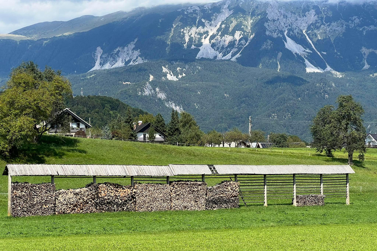 Bled: Mountain Bike Rental