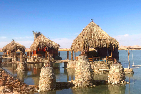 From Cairo: Sulfur & Salt Lake Swim, Safari, Siwa Oasis Tour Small Group Tour from Alexandria