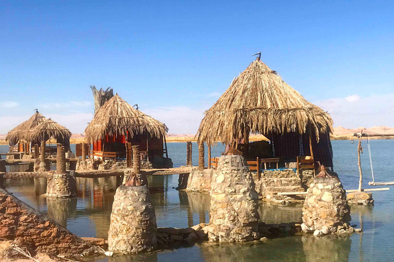 From Cairo: Sulfur &amp; Salt Lake Swim, Safari, Siwa Oasis TourSmall Group Tour from Cairo