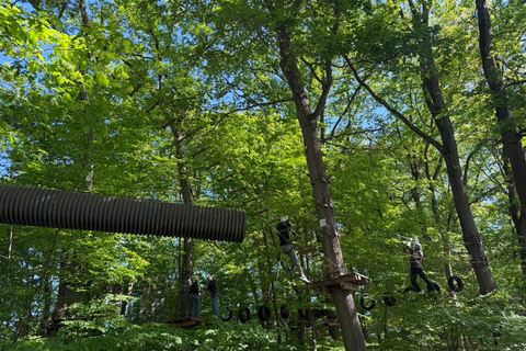 Kelkheim: Outdoor climbing experience in the forest ropes course with circuit and zip lines