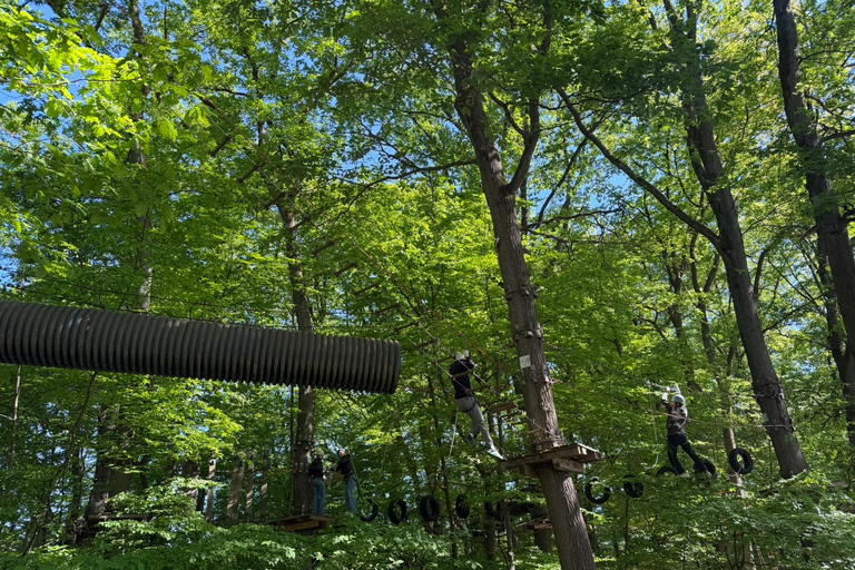 Kelkheim: Outdoor climbing experience in the forest ropes course with circuit and zip lines