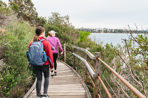 Manly & Shelly Beach: SchnorcheltourStornobedingungen: 100% Rückerstattung bis 7 Tage vorher